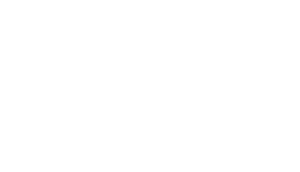 VCION Isologo