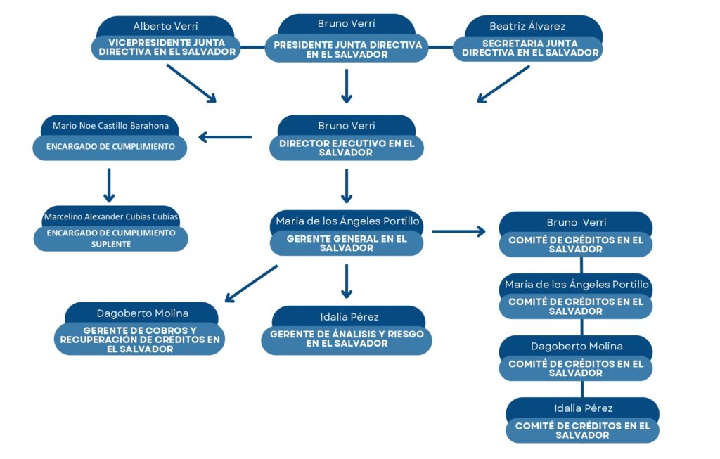 Organigrama VCION
